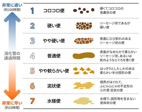 水便原因|消化器内科専門医が解説する下痢症〜下痢の定義、原因、症状と。